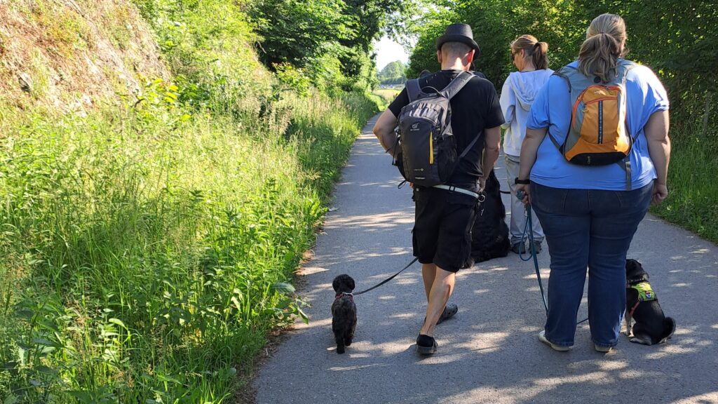 Lernspaziergang geduldiges Warten