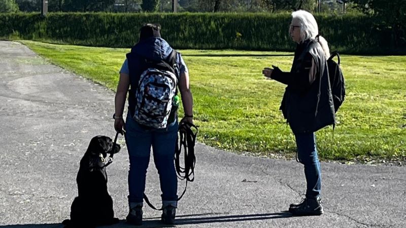 Beim Lernspaziergang mit 5 m Leine